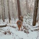 ���������� ������������, ���� ������� �������, 48 ���, ������������ ��� ������, ����� � ���������