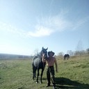 ���������� �����������, ���� ������� ����, 54 ����, ������������ ��� ������, ����� � ���������, c�������� ���������