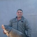 ���������� ������, ���� ������� �����, 44 ����, ������������ ��� ������, ����� � ���������