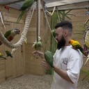 ���������� �����, ���� ������� ������, 30 ���, ������������ ��� ������, ����� � ���������, c�������� ���������