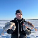 ���������� ������, ���� ������� �����, 35 ���, ������������ ��� ������, ����� � ���������