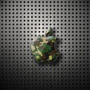 ���������� ������ �����, ���� ������� ���������, 41 ���, ������������ ��� ������