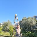 ���������� �������, ���� ������� ����, 37 ���, ������������ ��� ������, ����� � ���������