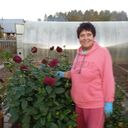 ���������� �����, ���� ������� �������, 74 ����, ������������ ��� c�������� ���������