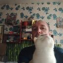  ,   , 41 ,   c , 