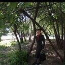 ���������� ������, ���� ������� �������, 36 ���, ������������ ��� ������, ����� � ���������, c�������� ���������