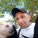 ���������� ���������, ���� ������� ����, 43 ����, ������������ ��� ������, ����� � ���������, c�������� ���������