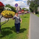 ���������� ������, ���� ������� ����, 66 ���, ������������ ��� c�������� ���������