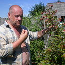  ,   c, 53 ,  
