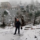 ���������� �����-���������, ���� ������� �������� �, 56 ���, ������������ ��� ������, ����� � ���������, c�������� ���������