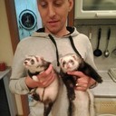 ���������� ��������, ���� ������� ������, 45 ���, ������������ ��� ������