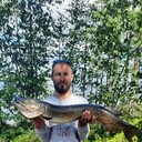 ���������� �����, ���� ������� ������, 35 ���, ������������ ��� ������, ����� � ���������