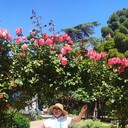 ���������� ������, ���� ������� �������, 63 ����, ������������ ��� ������, ����� � ���������, c�������� ���������, ���������