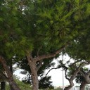  ,   , 70 ,     , c 