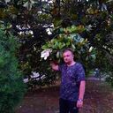 ���������� ���������, ���� ������� �������, 46 ���, ������������ ��� ������, ����� � ���������