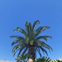  Pruszkow,   , 44 ,   ,   , c 