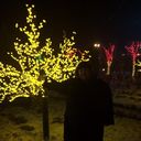 ���������� ������, ���� ������� �������, 40 ���, ������������ ��� ������, ����� � ���������, c�������� ���������