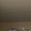  ,   David, 37 ,   ,   , c 