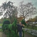 ���������� ������, ���� ������� �����, 46 ���, ������������ ��� ����� � ���������, c�������� ���������