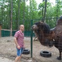 ���������� �������, ���� ������� �������, 36 ���, ������������ 