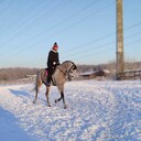 ���������� ������, ���� ������� �����, 44 ����, ������������ ��� ������, ����� � ���������