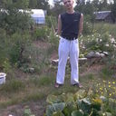 ���������� ���������, ���� ������� �������, 40 ���, ������������ ��� ������, ����� � ���������, c�������� ���������