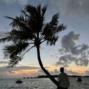 ���������� ������, ���� ������� Yjy, 29 ���, ������������ ��� ������, ����� � ���������