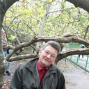 ���������� ����, ���� ������� �������, 54 ����, ������������ 