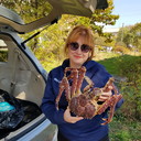  ,   , 57 ,   ,   , c 