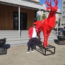 ���������� ������, ���� ������� �����, 45 ���, ������������ ��� ������, ����� � ���������