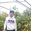  ,   , 49 ,   ,   , c 