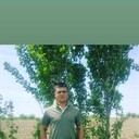 ���������� �����������, ���� ������� Shox, 35 ���, ������������ ��� ������, ����� � ���������, c�������� ���������