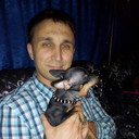  -,   , 34 ,   ,   , c 