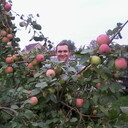 ���������� �������, ���� ������� �����, 44 ����, ������������ ��� ������, ����� � ���������, c�������� ���������, ���������