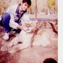 ���������� �������, ���� ������� LIS, 57 ���, ������������ ��� ������, ����� � ���������, c�������� ���������