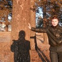 ���������� ����, ���� ������� ���������, 38 ���, ������������ ��� ����� � ���������, c�������� ���������