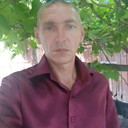  ,   BORDO, 50 ,     , c 