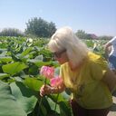  ,   , 52 ,   c , 