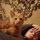  ,   ˸, 23 ,   ,   , c , 