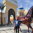 ���������� ������-��-����, ���� ������� �������, 40 ���, ������������ ��� ������, ����� � ���������