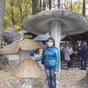 ���������� �������, ���� ������� �������, 38 ���, ������������ ��� ������, ����� � ���������, c�������� ���������