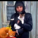  ,   , 38 ,     , c , 