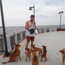 ���������� �����, ���� ������� ���������, 30 ���, ������������ ��� ������, ����� � ���������