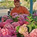 ���������� ���������, ���� ������� ����, 36 ���, ������������ ��� ������, ����� � ���������