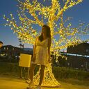  ,   Oll, 27 ,   ,   