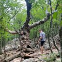  ,   , 32 ,   ,   , c , 