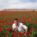 ,   Mansur, 41 ,   ,   , c , 