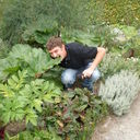 ���������� ����, ���� ������� ���, 42 ����, ������������ ��� ������