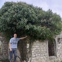  --,   , 31 ,   ,   , c 