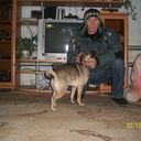  ,   , 51 ,   ,   , c 